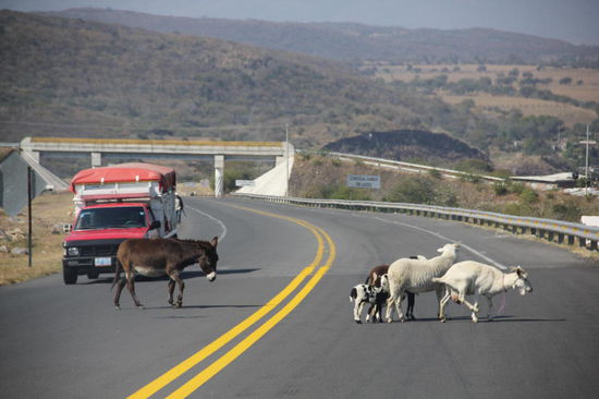 Gemächliches Fahren hat auch seine Vorteile...