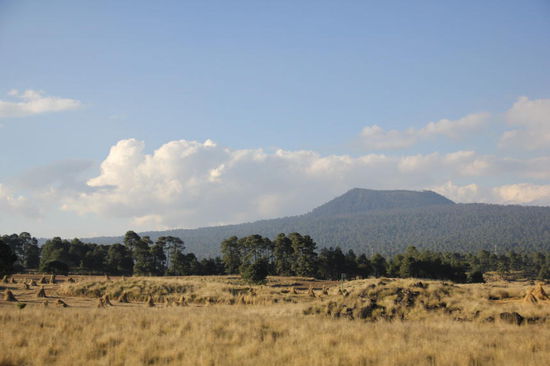 Geschafft - wir sind wieder "auf dem Lande"...