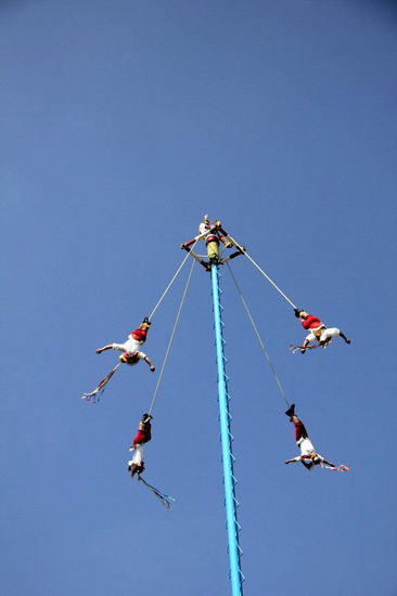 ...und drehen ihre Runden in luftiger Höhe...