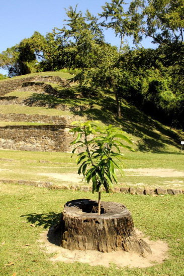 Aus "alt" wird "neu"...