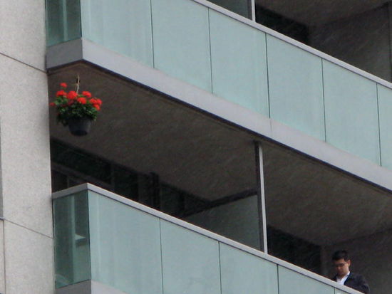 Ein kleiner Lichtblick in der Betonwüste...