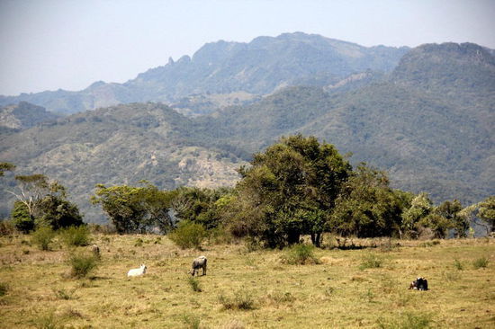 Wir durchfahren eine herrliche Bergwelt...