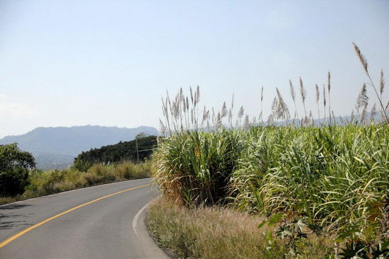 Am späten Nachmittag treffen wir in Xalapa ein...;