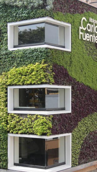 ...mit der "pflanzenbehangenen" Fassade... - sehr dekorativ gestaltet...