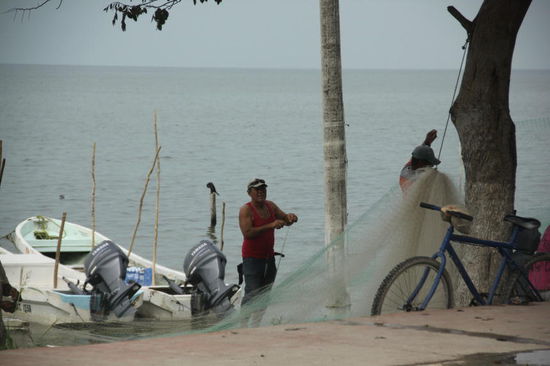 Auf der Fahrt nach Campeche gesehen...
