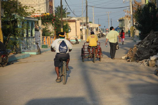 Via Tizimin, der inoffiziellen Rinderhauptstadt von Yucatan fahren wir hinaus an den Rio Lagartos...