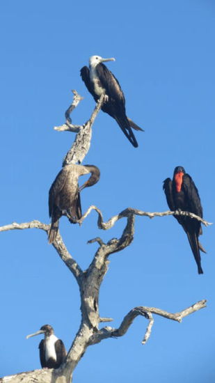 Gemeinsamer Lebensraum...