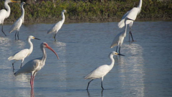 Ein emsiges Treiben...