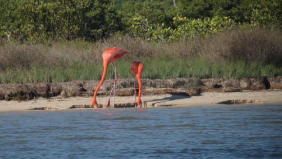 Mutter und Tochter beim Krebse fischen...