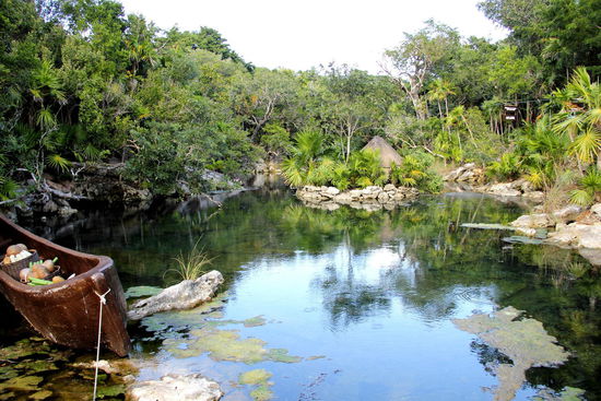 Paradiesische Zustände an einer oberflächlichen Cenote...