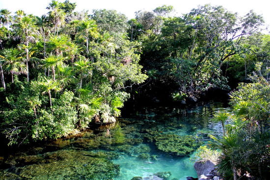 Der Fluss, welcher in die Lagune fliesst...