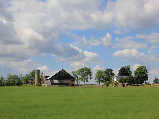 Vorbei an Farmen...