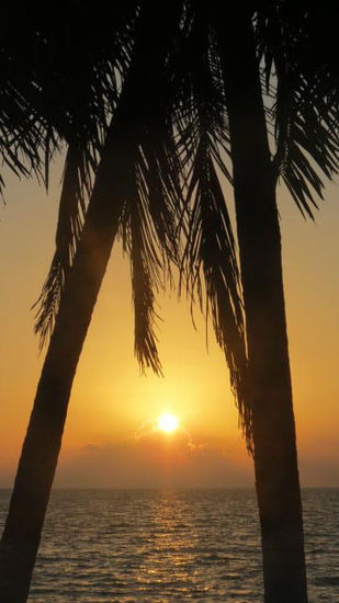 Welch herrlicher Sonnenaufgang...