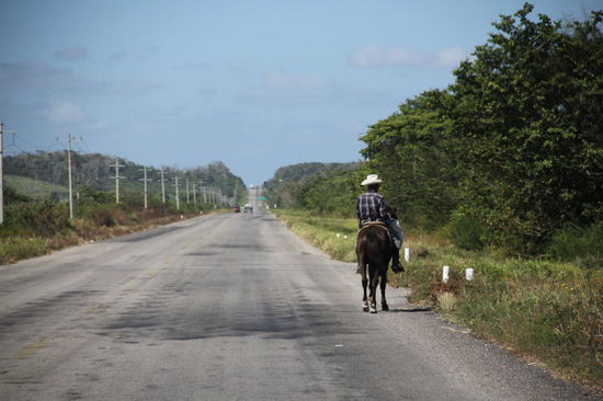 Wir verlassen die Karibikseite und fahren ins Landesinnere...