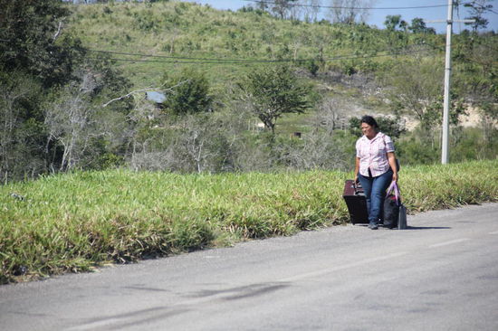 Die Einen gehen zu Fuss, die Andern zu Pferd und wir fahren gemütlich mit unserm Leomobil...