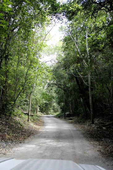 Die Strasse wird zunehmend enger und die Schlaglöcher nehmen zu...