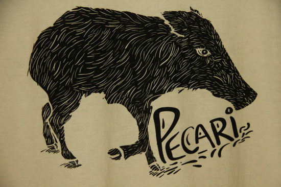 Auch Wildschweine gibt es...