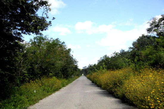 Unser heutiges Ziel Palenque liegt noch gut 300 km entfernt... - eine Fahrt wie quer durch die Schweiz...; am Nachmittag erreichen wir unser Ziel...