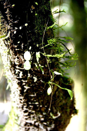 Wir staunen über die Vielfalt der Pflanzen und deren Wachstum...