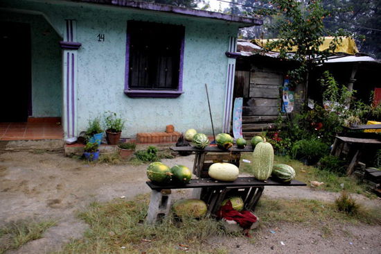 Was man nicht selber benötigt, wird am Strassenrand verkauft,  um an etwas Bargeld zu gelangen...