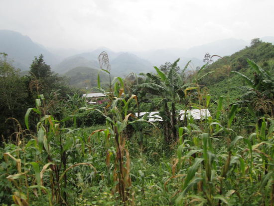 Uns zieht es weiter...