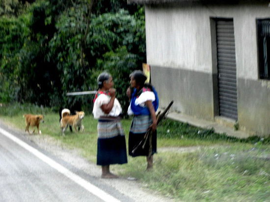 Informationsaustausch am Strassenrand...