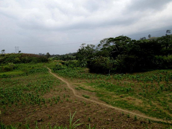 Spuren des harten Alltags...