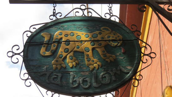 Mehr über das Museum Na Bolom