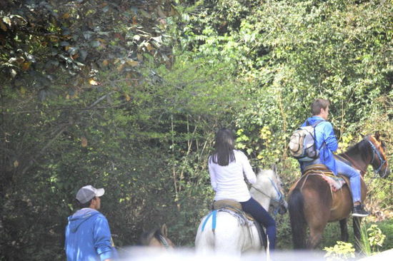 Die Beiden haben wir doch auch schon gesehen - und zwar in Palenque habe ich kurz mit ihnen gesprochen...