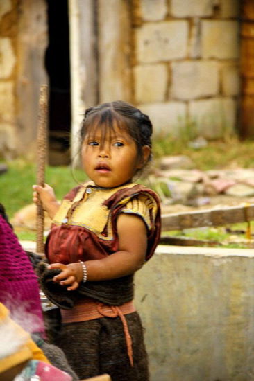 Sie schaut dem Treiben noch etwas skeptisch zu...