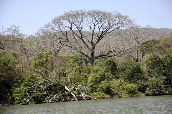 Mehr über den Sumidero NP