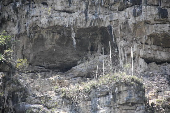 Interessant, wie wenig es braucht um Pflanzen wachsen zu lassen...