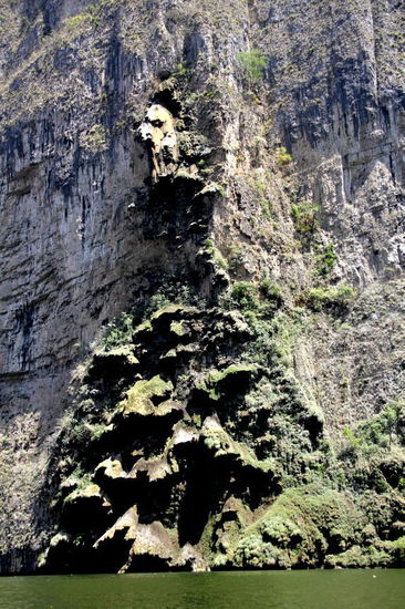 Immer wieder erstaunlich, welch bizarre Formen die Natur zu schaffen vermag...