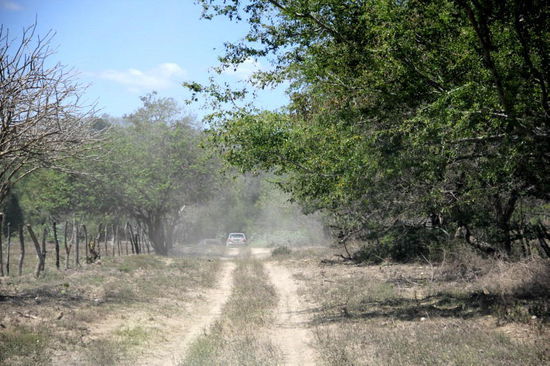 Wir wenden und über eine staubige Nebenstrasse überholen wir die stehende LKW-Kolonne...