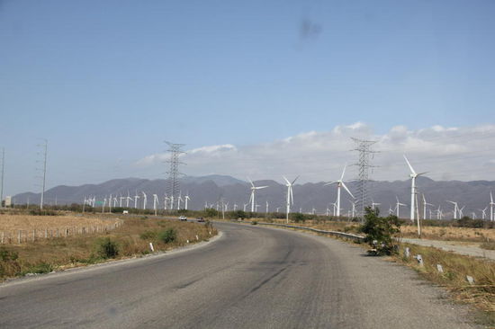 Stromproduktion in Oaxaca...; hunderte von Windrädern nutzen hier den stetigen Wind...