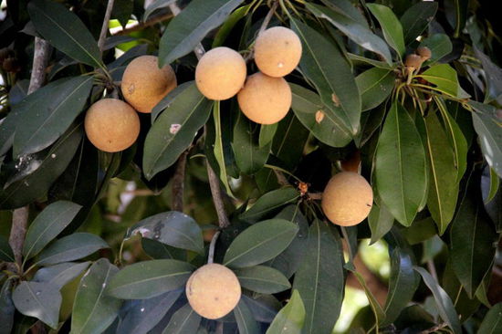 Ein kleiner "Garten Eden"...; uns gefällt es hier und wir haben vor, ein paar Tage zu bleiben...