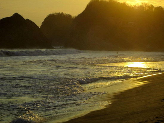 Und was gibt es Schöneres, als solche Tage mit einem "Fest-Schmaus-Fisch-Menue" abzuschliessen....