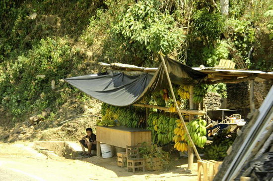 Für Zwischenverpflegung ist reichlich gesorgt - 5 Bananen - 5 Pesos = ca. CHF 0,35...!!