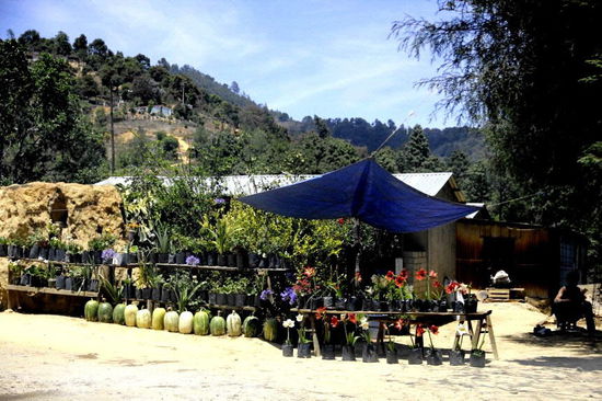 Strassenverkauf bringt ein paar Pesos...