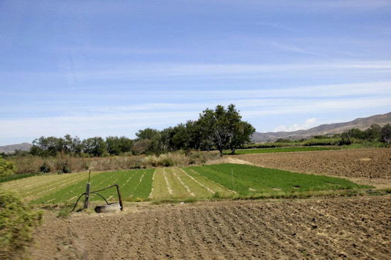 Hier wird bewässert...