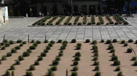 Der Agavenschnaps Mezcal