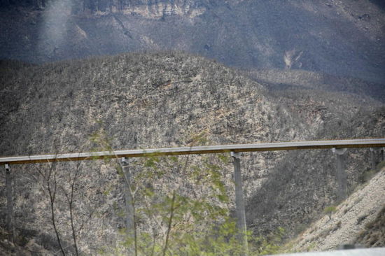 Diese Brücke werden wir gleich passieren...