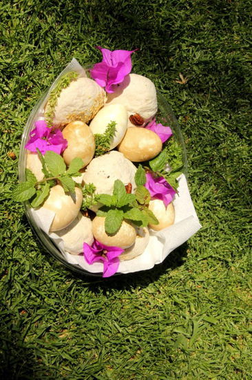 Die Osterzeit ist eine der Hauptreisezeiten für die Mexikaner...! Die Strände sind voll, überall herrscht viel Verkehr...!
Deshalb bevorzugen wir, die Osterzeit hier im Haus in Cuernavaca zu verbringen...
Zusammen mit unsern Nachbarn verbringen wir eine gemütliche Osterzeit...!