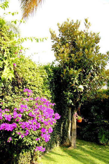 Wieder zurück in heimischen Gefilden...