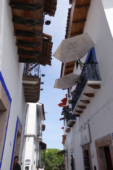 Auch wir entdecken immer wieder Neues...