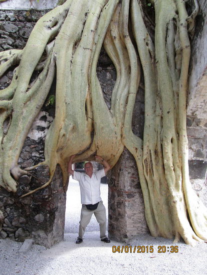 Da werden Kräfte frei...