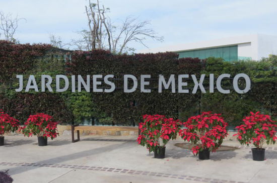 Willkommen in den Gärten Mexicos...