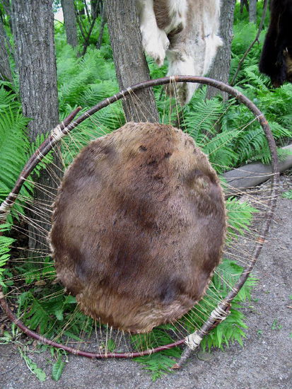 Das aufgezogene Bieberfell... - in England sehr begehrt für die Herstellung von Filzhüten...