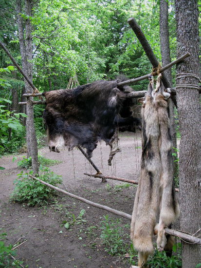 War's M13 oder M14...? Für Nichtschweizer - es sind die Bären, die aus Norditalien in die Schweiz eingewandert sind...