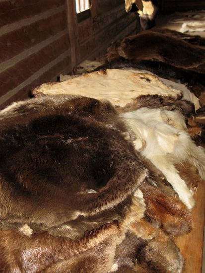 Die eingekauften Pelze...